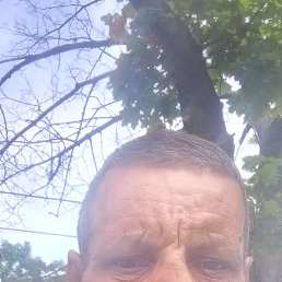 , 50 , 