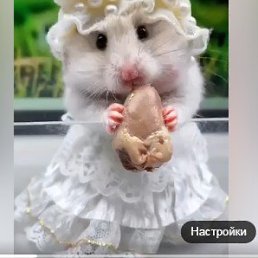 ���� �������, ������, 32 ���� - ��������� 31 ���� 2026