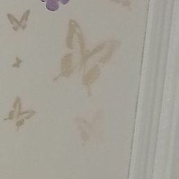 �������, �������, 48 ���