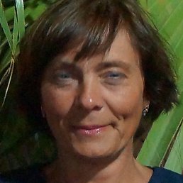 �����, ��������