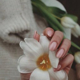 ���� ����, ������ �������� - ��������� 16 ������ 2025