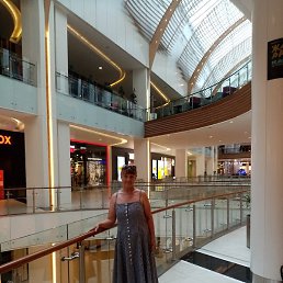 ����, ������, 65 ���