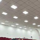 ���� �����, ������, 55 ��� - ��������� 17 ������� 2025 � ������ ���� ����������