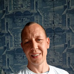 ������ �������, 41 ���, ������