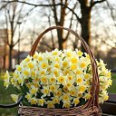 ���� �������, ������������ - ��������� 16 ����� 2026 � ������ ������ ��������