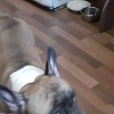 ���� �����, ������ ��������, 48 ��� - ��������� 25 ����� 2024