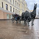 ���� ����, �����, 65 ��� - ��������� 30 ������ 2025