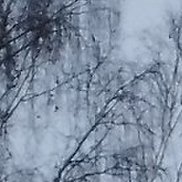 ����, 60 ���, ������������