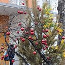 ���� ����, ������, 45 ��� - ��������� 29 ����� 2026