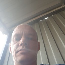 , 41 , 