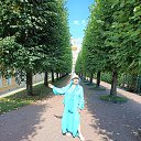  ,  -  5  2025       ,    ,     .