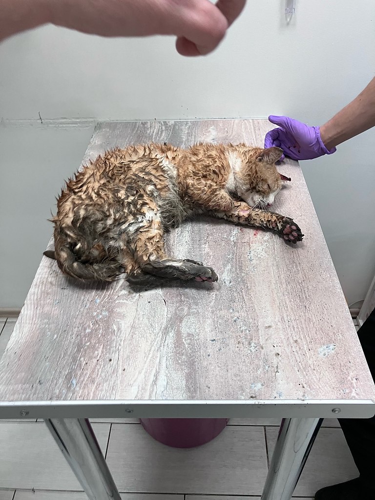      ..   ..  ..   ... - 4