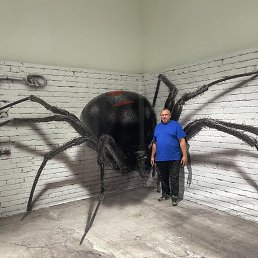 ���� ��������, ����, 58 ��� - ��������� 3 ����� 2026