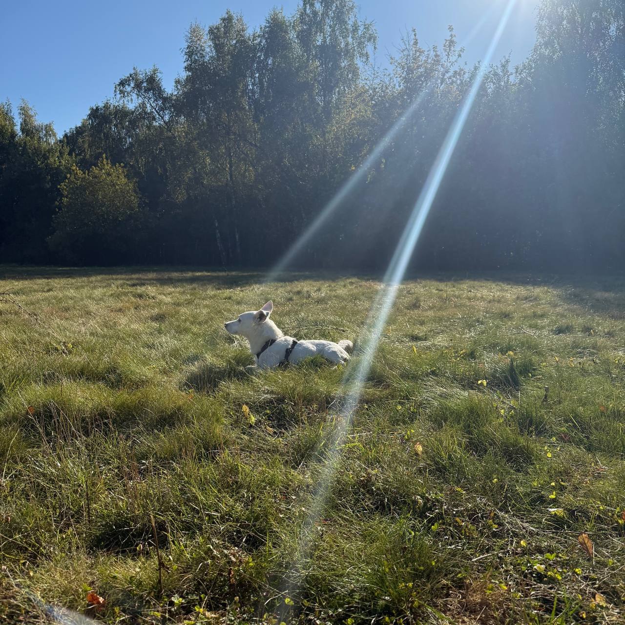 -   - 30  2025  23:21