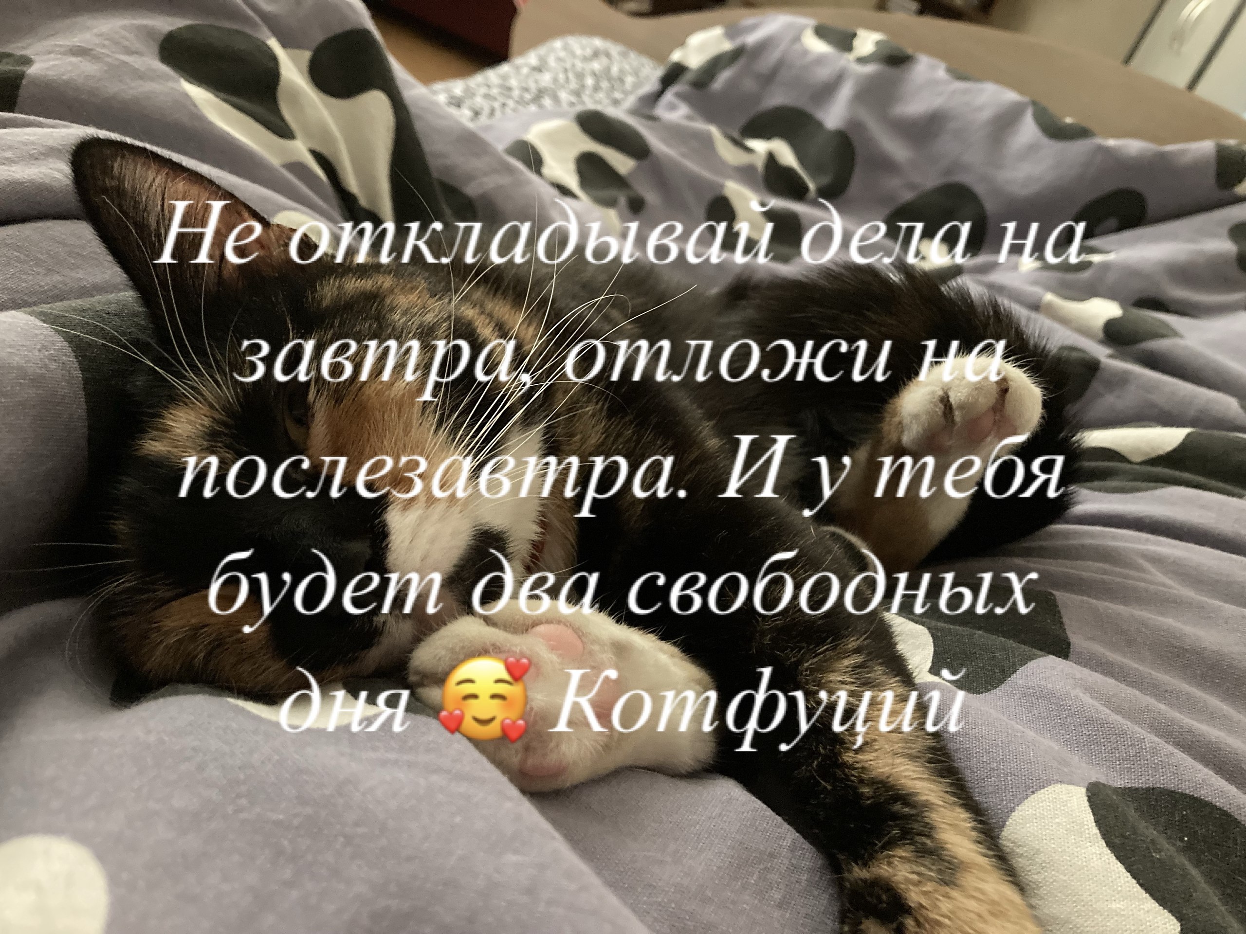 Lenta - 12 мая 2025 в 10:16