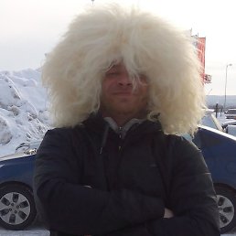 ������, ��������, 49 ���