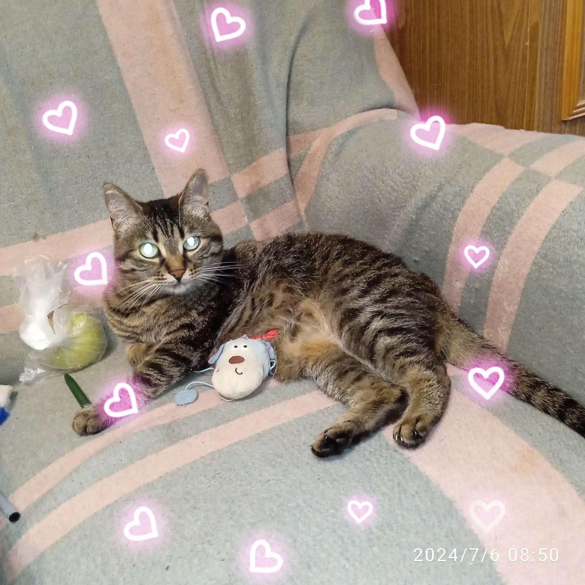 ������ - 1 ������� 2025 � 23:08