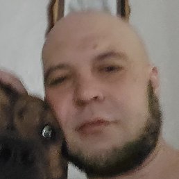 ������, ��������, 43 ����