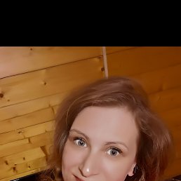 ���� ���, �����-���������, 43 ���� - ��������� 23 ����� 2024