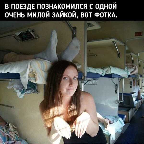  ,   .