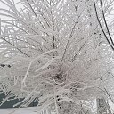 ���� ������, ���������� - ��������� 3 ������ 2024 � ������ ������ ��������