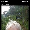 ���� �������, ����������, 66 ��� - ��������� 5 ����� 2024 � ������ ���� ����������