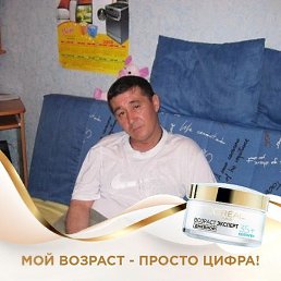 ���, �������������, 61 ���