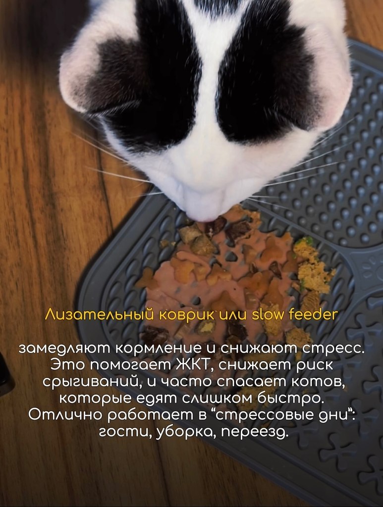 ��� �������� ��� ����-�����������, ��� ������� ��������� ����: ����, ����, ������, ������ � ��� � ... - 4