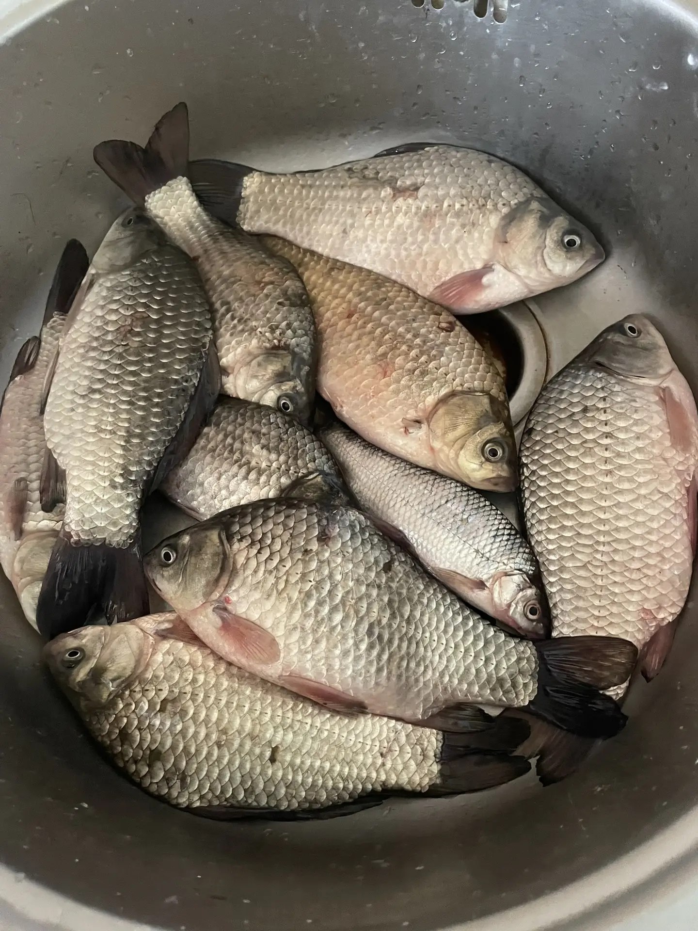 �� ������ ����� ����