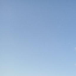 �������, ������, 51 ���