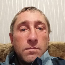 �����, �����������, 43 ����