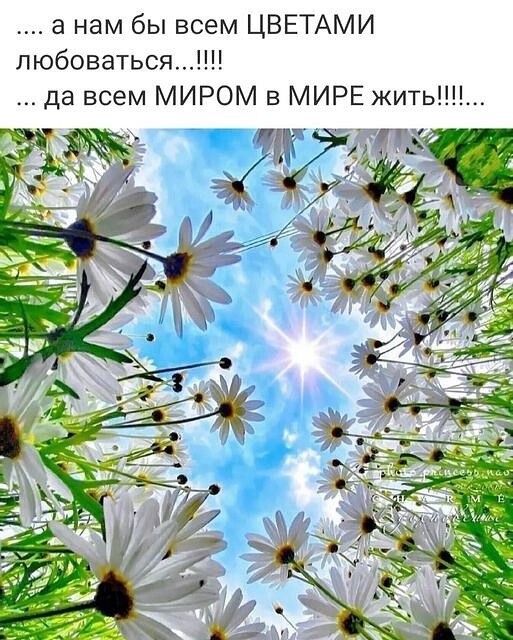  - 4  2024  13:06
