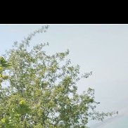 Тимур, 33 года, Карши Тимур, 33 года, Карши