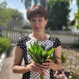 �������, �����������, 48 ���