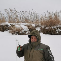 ���������, 61 ���, �����������