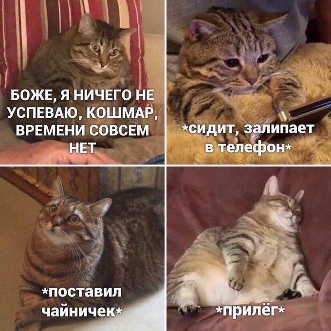    - 27  2024  13:17
