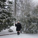 ���� �����, ��������, 41 ��� - ��������� 14 ������ 2026 � ������ ���� ����������