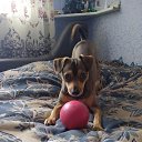 ���� ��������, ������-��-���� - ��������� 2 ������� 2025 � ������ ������ ��������