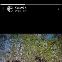 ����, ������, 37 ���