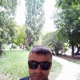 �������, ������, 41 ���