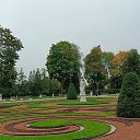  ,  , 51  -  8  2025   2024 .   .