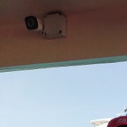 ������, 53 ����, ���������