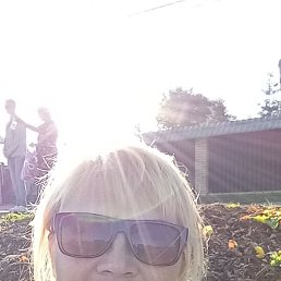 ���� �����, �����-��������� - ��������� 10 �������� 2024