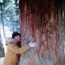 ����, �����������, 60 ���