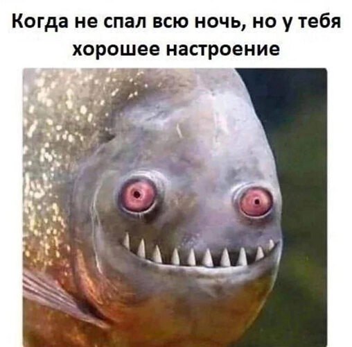   ! - 22  2025  10:43