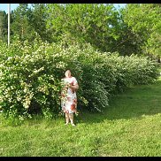 Елена, 54 года, Томск Елена, 54 года, Томск