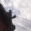   , , 38  -  10  2025
