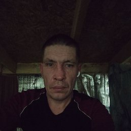 ������, 42 ����, ����