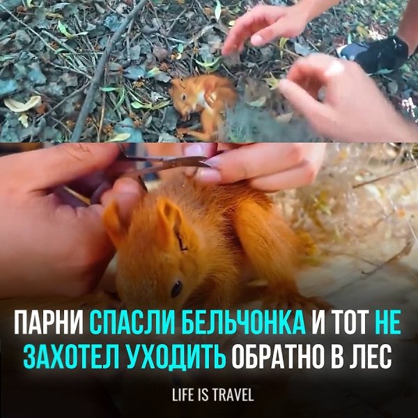 ������ ������ �� ���� � ���������� �� ������� ���������, ������� ��������� � �����. ��� ����� ...