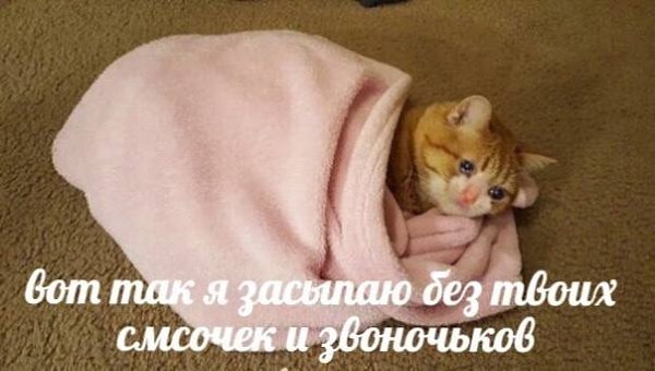    - 31  2024  02:37